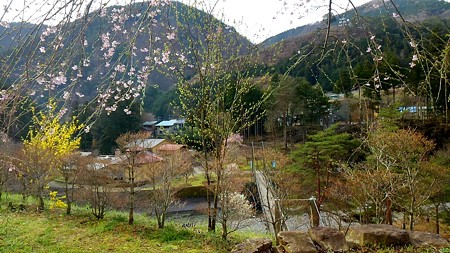20160409 (5)