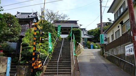 20160514湘南、鎌倉 (7)