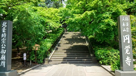 20160514湘南、鎌倉 (32)