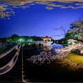 奈良公園　鷺池　浮見堂　桜 ライトアップ　360度パノラマ写真