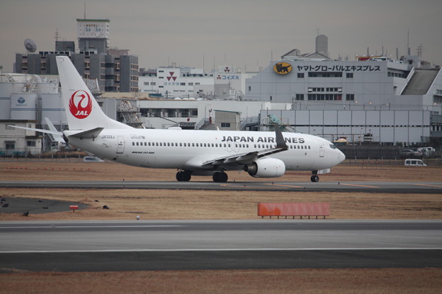 日本航空　JAL　B737‐800　JA322J