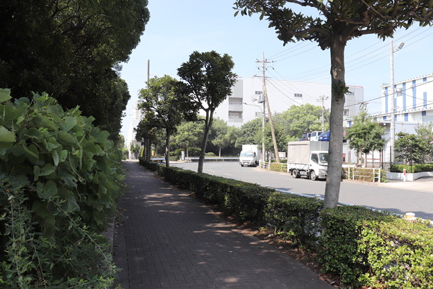 城南島　20190817_13