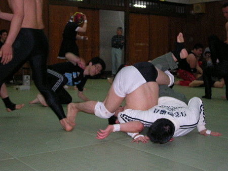 raw 039