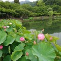 府中公園