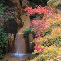Photos: 河鹿橋 滝 コラボ