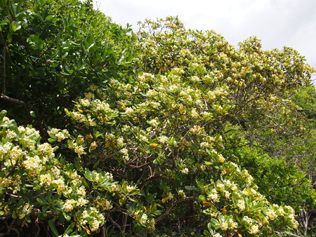 P5012789