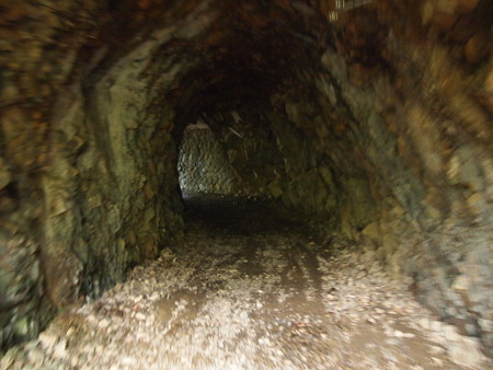 P5032378
