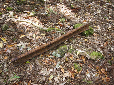 P5032386