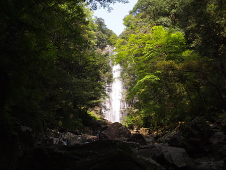 P5032395