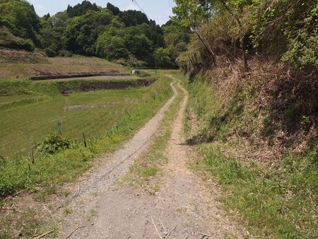 P5042492