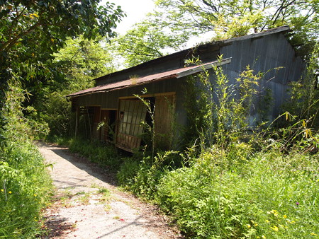 P5042509