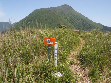 P5232989