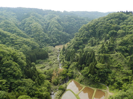 P5253788