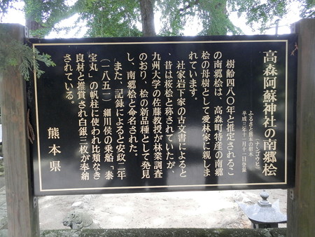 P5253810