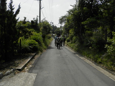 P5253925
