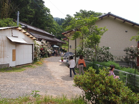 P6013334