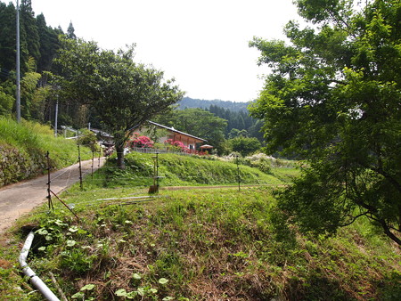 P6013337