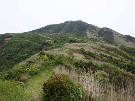 P6013360
