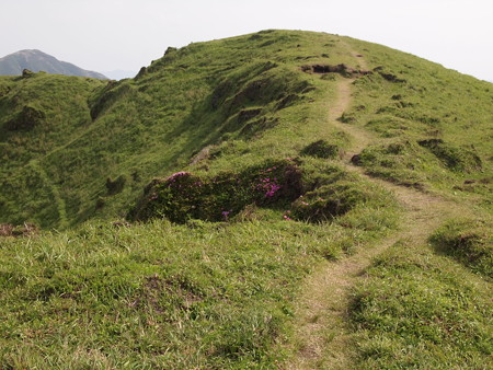 P6013454