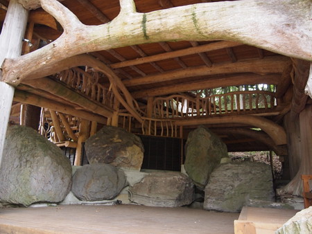 P6013504
