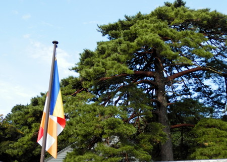 P9234263e