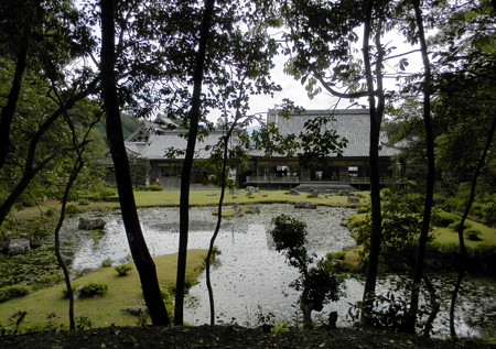 P9234342e