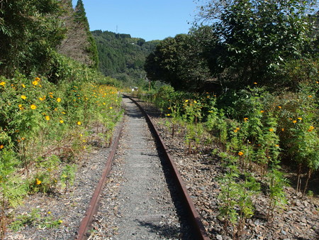 PA176362