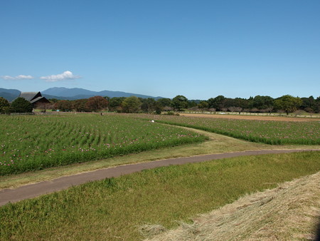 PA186392