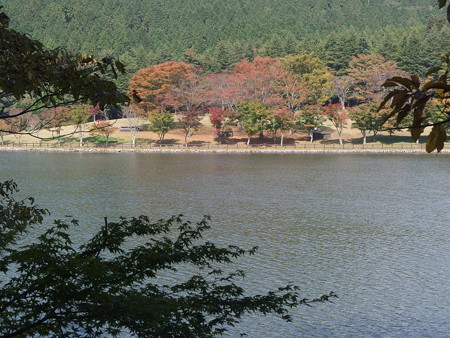 PA236525