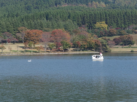 PA236527