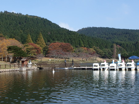 PA236530