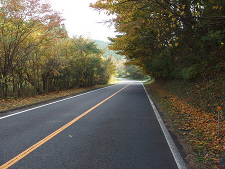 PA236534