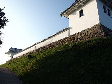 PA256665