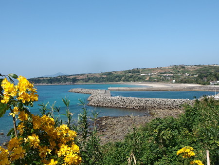 PA256795