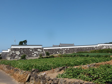 PA256801