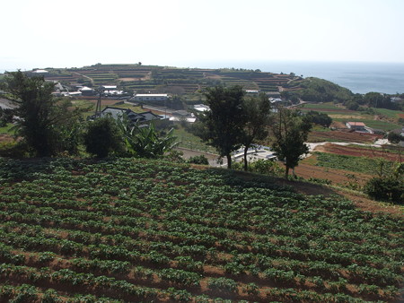 PA256809