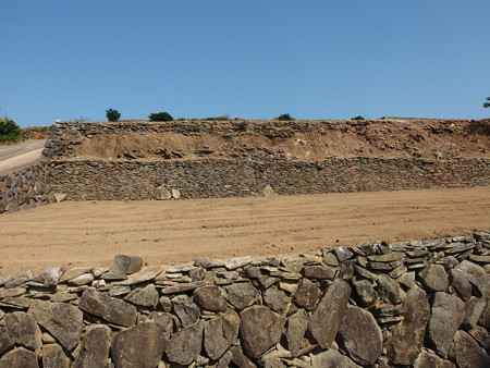 PA256810