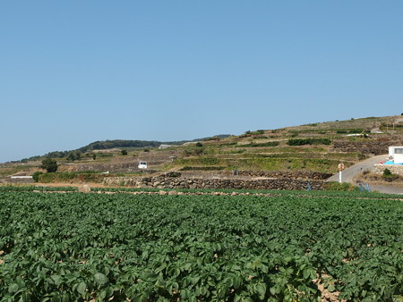 PA256812