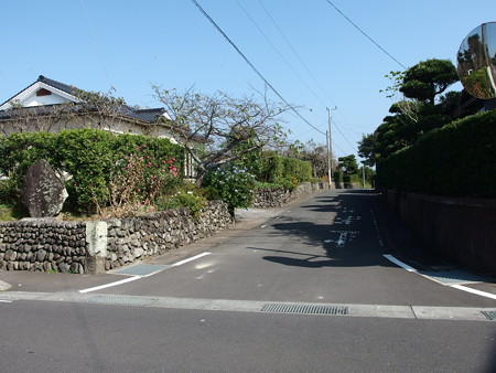 PA256833