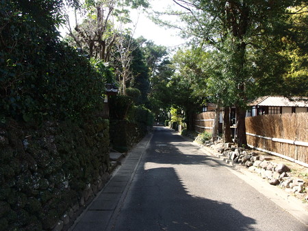 PA256869