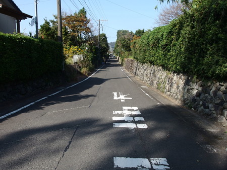 PA256877