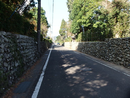PA256881
