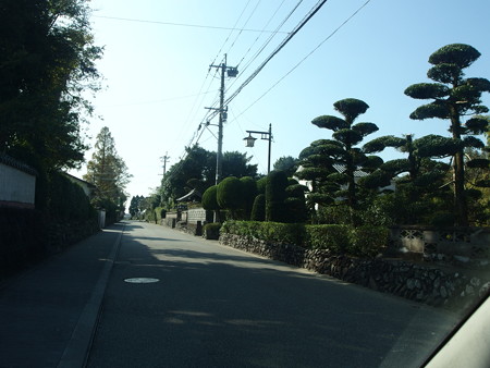 PA256917
