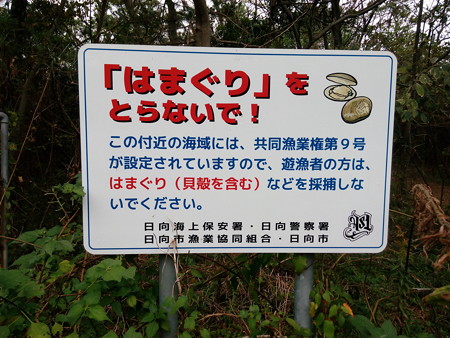 IMG_20151107_162533