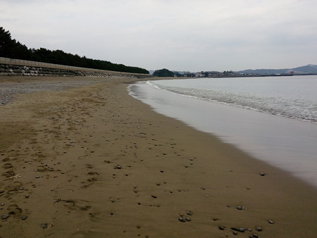 IMG_20151202_111731