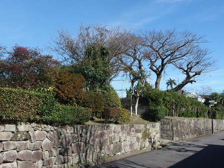PC290649