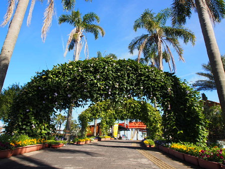 PC292128