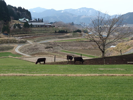 P1270945