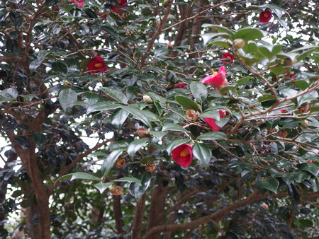 P1311006
