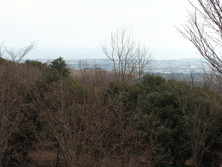 P1311009
